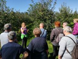 Obiskali smo kmetije, vključene v projekt »Odprta vrata kmetij« 1